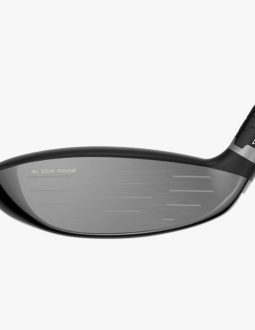 gay-go-fairway-callaway-elyte-5