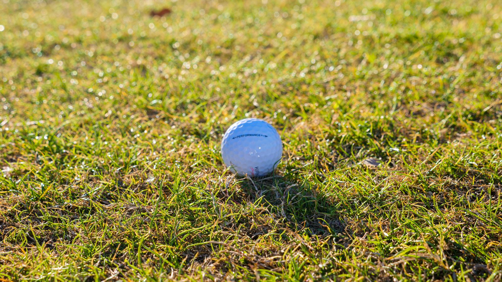 Thể thức Stableford và stroke play