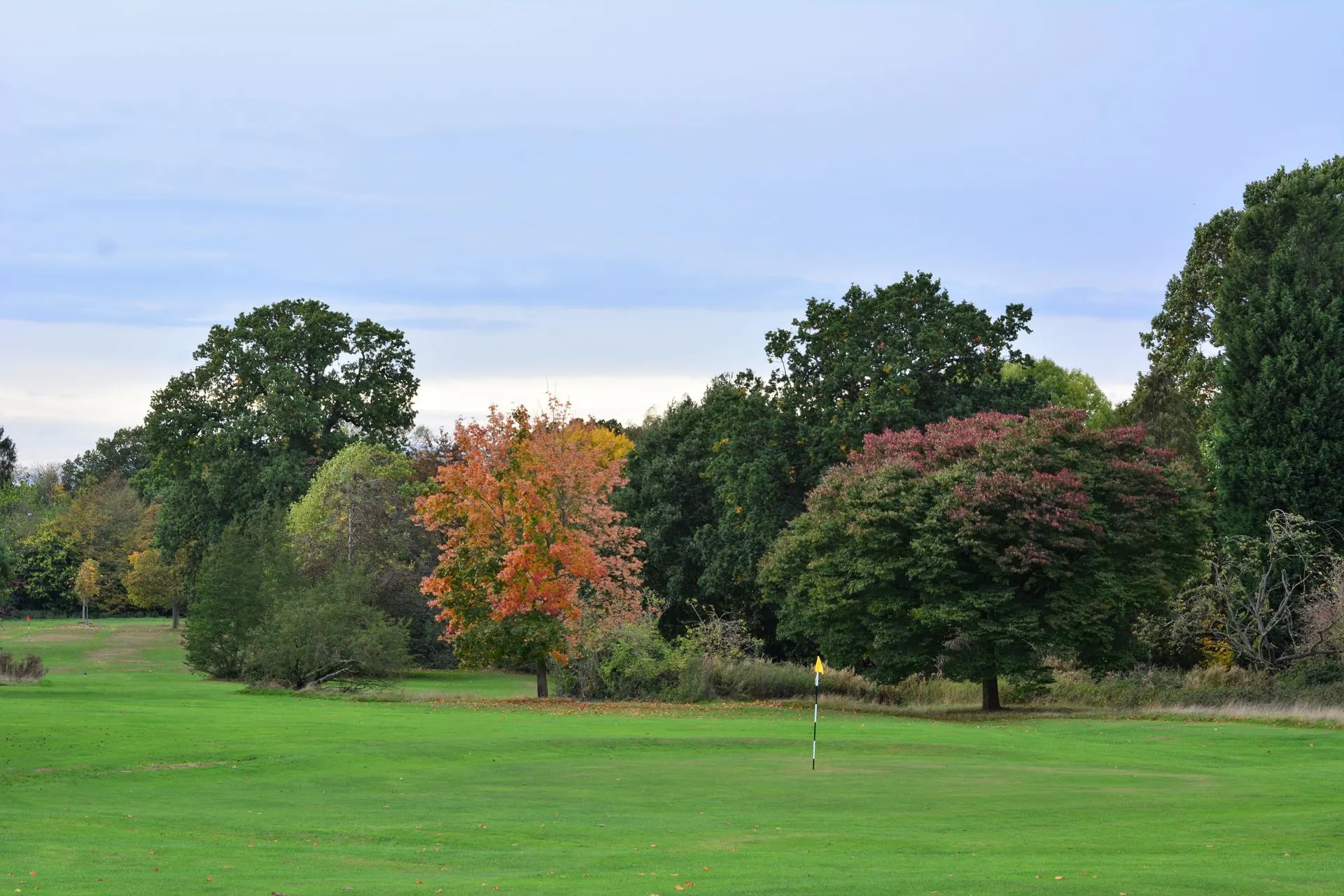 Sân golf có hàng cây chuyển màu mùa thu
